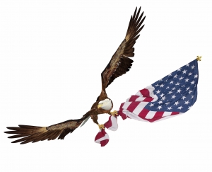 eagle carrying american flag